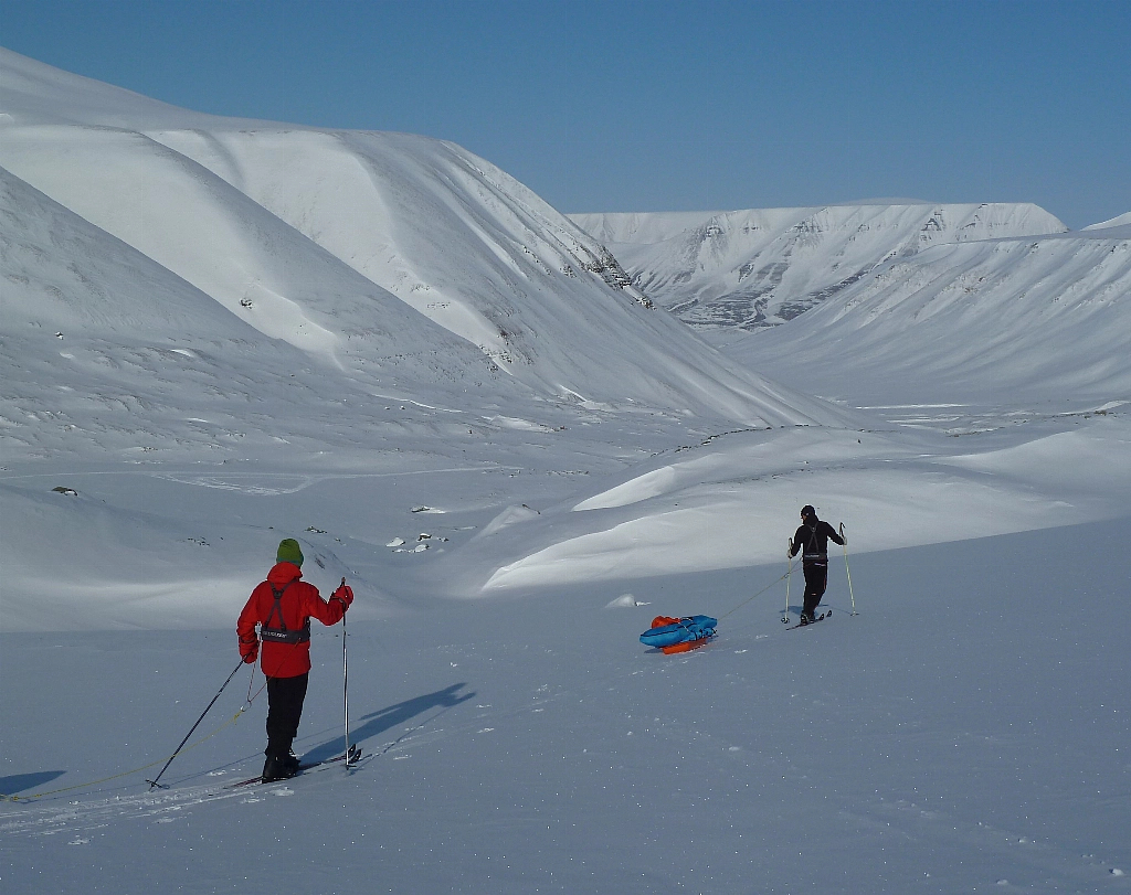 Svalbard Polar Taster