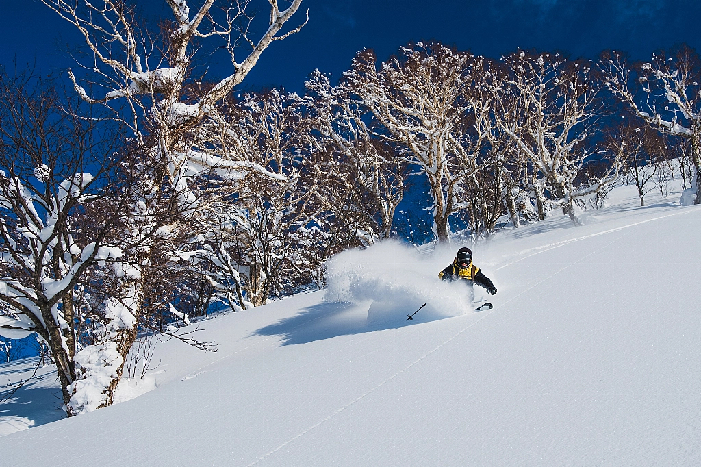 Ski Hokkaido