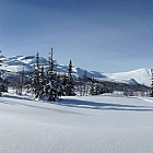 Polar Expedition Training - Refresher