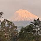 Antisana